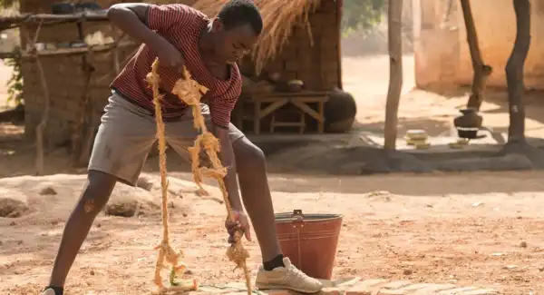 Resumo do filme O Menino que Descobriu o Vento (2019): explicação completa e análise Resumo do filme O Menino que Descobriu o Vento (2019): explicação completa e análise